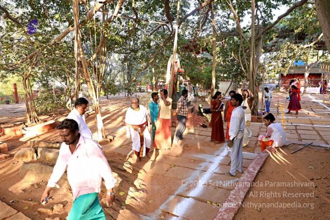 20180201 Photo 244 13bQTYzaGqESrSS7cRMgiOBGgt7DWfBeZ.jpg