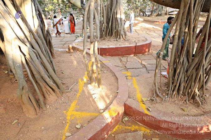 20180201 Photo 258 1Kl8HYNINE-HtsoYirglornOXsm54fffq.jpg