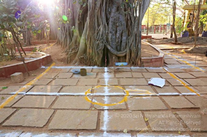 20180201 Photo 267 1BU3UuPhd-LhQKAQFB02DITiRNijV7qc7.jpg