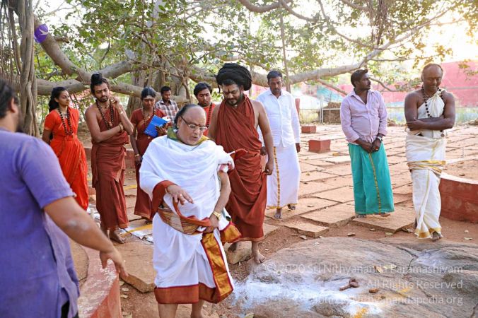 20180201 Photo 330 1 qxwt8cP9sXtzN8yHwTUKtebNQVm-7gW.jpg