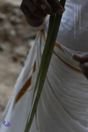 20180202 Photo 1002 1CVrjRRo3ZFoPfXIGhDmtsQTIZwbD2G8H.JPG