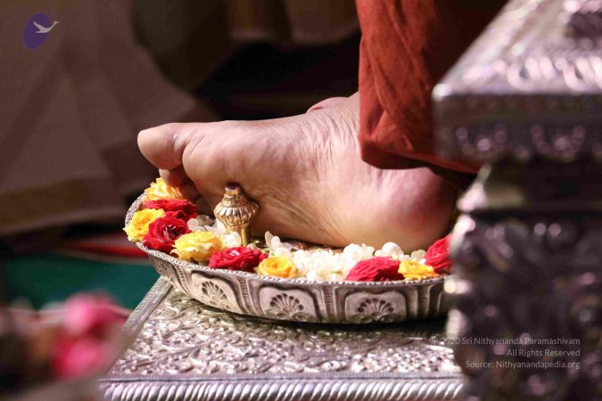 20180213 Photo 1048 1ZaVmj LfPd SB519KDkl-1wfBkkLhG0L.JPG