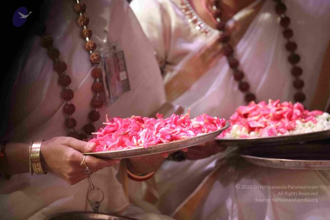 20180213 Photo 1063 1IlDBp2Pj6hqnKnGYs4WZS3a50RuNzIiP.JPG