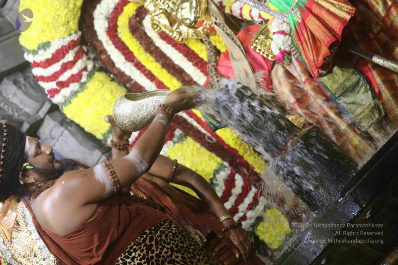 File:20180213 Photo 1541 1VDVFrMHNHtlPDGcaDHv4iF5wcojT9ola.JPG