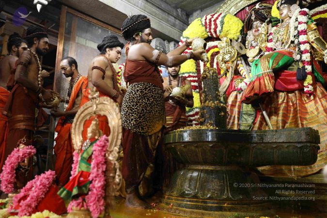 20180213 Photo 1869 1HpMu3dtiG6t6CgwNH2G-jZ4TY0VIUWw9.JPG