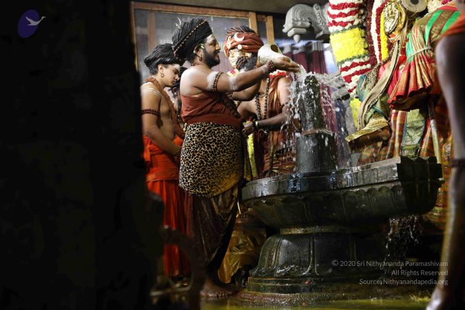 20180213 Photo 1893 17goeWo8h7CLBWAJuLAXJkbeHSYrHAtl3.JPG