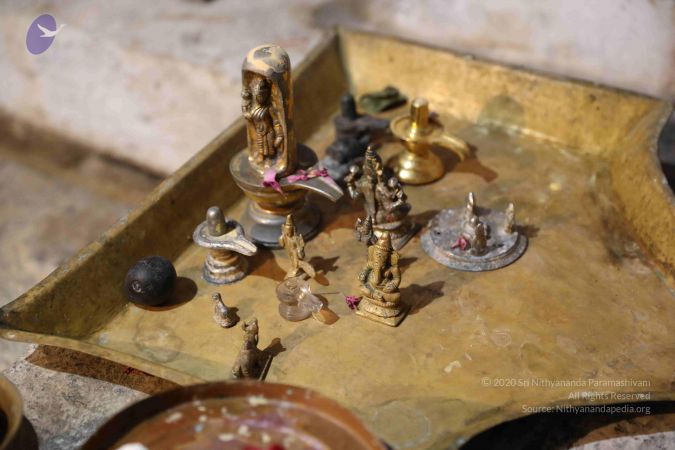 20180301 Photo 1094 1VmzQKpZoc-bZOeGlDEfasKZfaKirpMzW.JPG