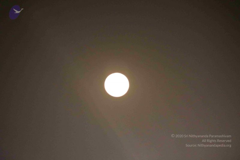 File:20180302 Photo 1001 1 dDzpOn7GTFPANMl-NgRbr4 zlDDzJMW.JPG