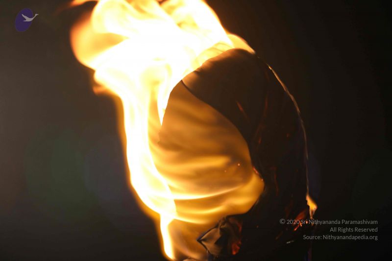 File:20180302 Photo 1005 11OfZkXcx5ZeYpW09X4noYJ1Q9rBfSzva.JPG