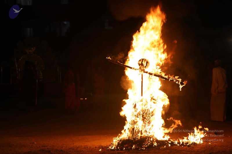 File:20180302 Photo 1048 1vt08bnRY2OR3gSeg3E05wTqPKYHuFKN6.JPG