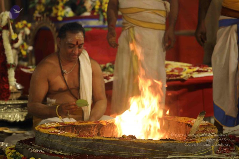 File:20180302 Photo 1202 1WAe1aq71X73cM215eTAuukIyUfMMp7Ht.JPG