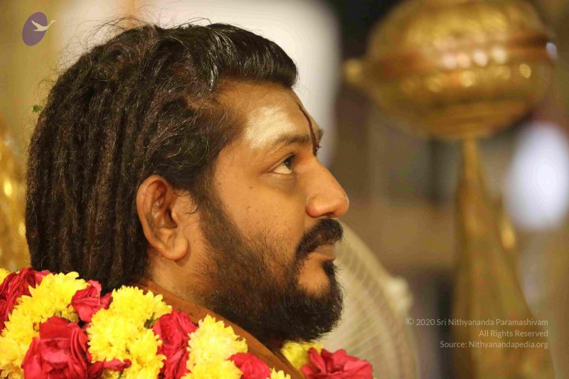 File:20180302 Photo 1214 1lrsiOvtGMM-pruwpv3cYhIcemm9pTUfv.JPG