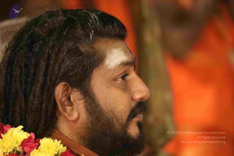 File:20180302 Photo 1218 1zcjp8IWa-3t-TPZI0nYKxF8nFiEOCuxn.JPG