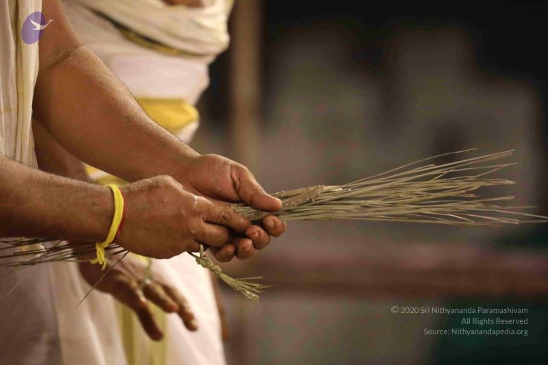 File:20180302 Photo 1219 13gyjHBDdu9UZBX5eTA51DehFOeKed6y2.JPG