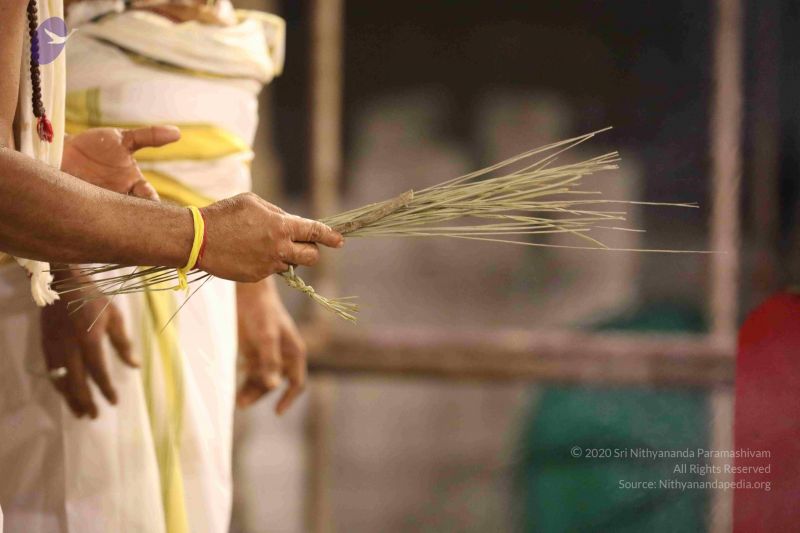 File:20180302 Photo 1220 1vGrTJIfitJRpZHt5iWaWCcLfAQItBiW4.JPG