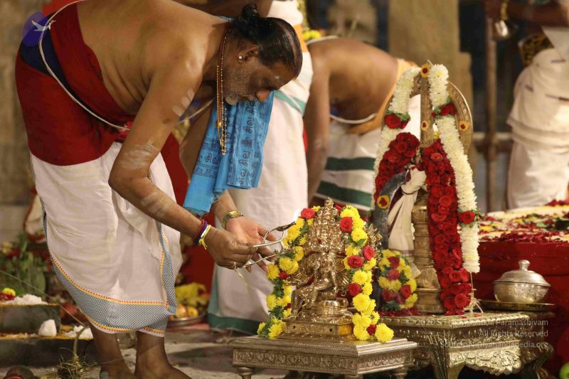 File:20180302 Photo 1222 1Wpj1bxxuUXCOxmgaUbDx9qvA-FAeebLg.JPG