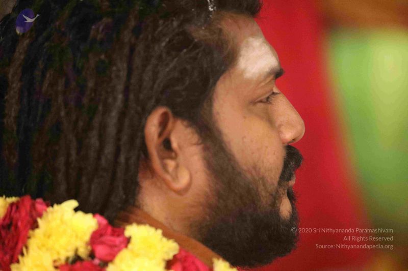 File:20180302 Photo 1223 10vkR5JdZJGQ5JvOp3A1s 8uCe86026DC.JPG