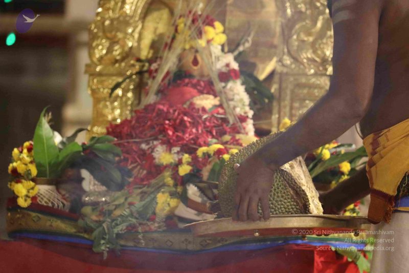 File:20180302 Photo 1229 1M2AdaqiMaUj1qj6QPoxBu6mkGp6hYQWk.JPG