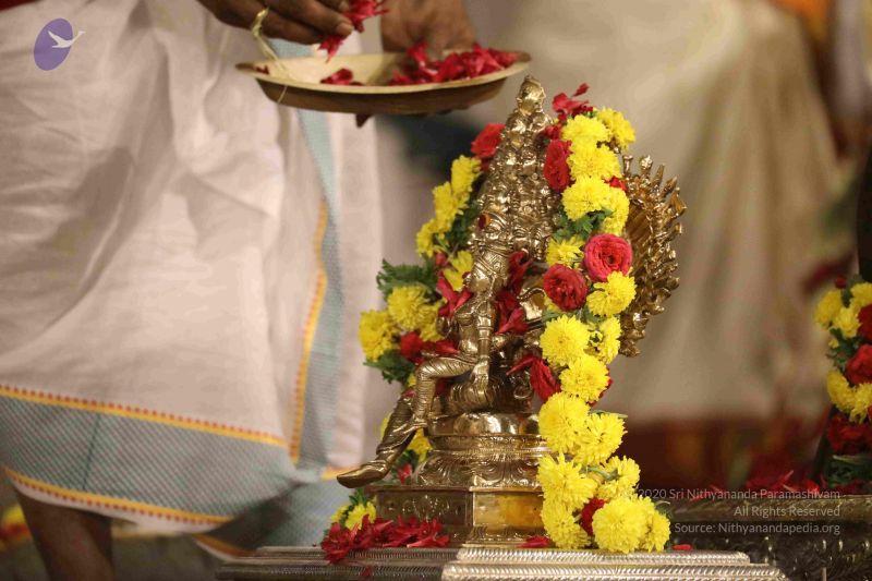 File:20180302 Photo 1259 1Al-3tqFlAj4Lad-yIfzVaNqZUEG3yrFv.JPG