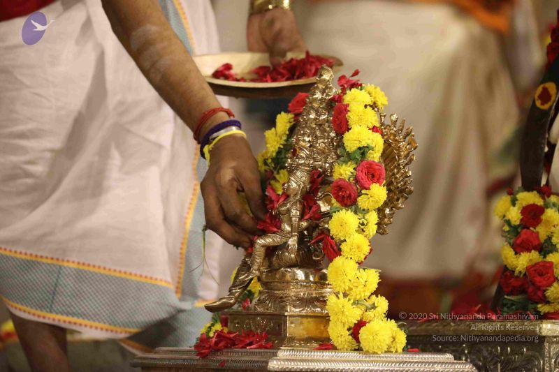 File:20180302 Photo 1260 1s5yJuzbxSw-udZI8loKmgK5yc3qHv8yp.JPG