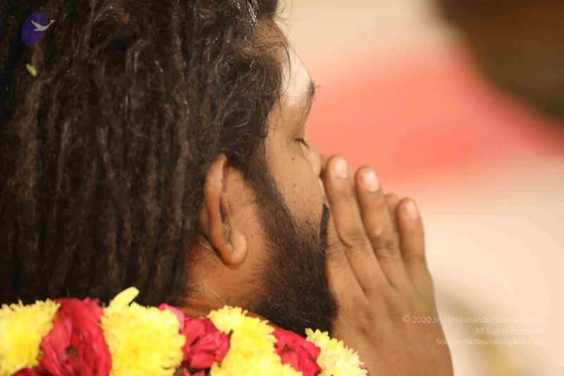 File:20180302 Photo 1290 14FJzB06y0TBt8mBwT 5K-eWdfLeBDPxQ.JPG