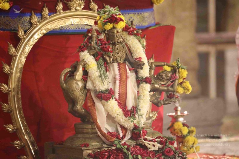 File:20180302 Photo 1294 18z0R8U7jGMhpFN2KM05PFMt4A3P0Kwf .JPG