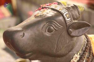 20180302 Photo 1295 1qO7KRDE fSFG17Al6ZdOd 8iaBzn8sP7.JPG