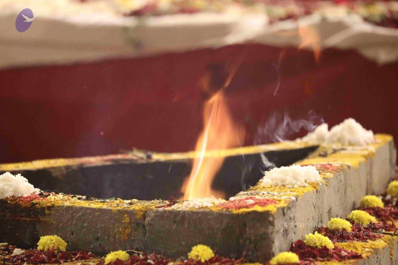 File:20180302 Photo 1296 11z62ZPixK2CR4ObeEfs5zoMF5uwbvYLs.JPG