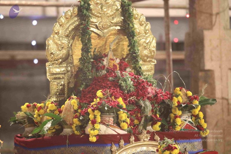 File:20180302 Photo 1300 1mSsjb55inShDhU5wRKozWXHMoKuRAt4j.JPG