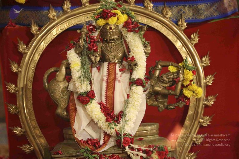 File:20180302 Photo 1319 1 kw6bnumTSw8upmeKiRQC6hmiEY6dPwS.JPG