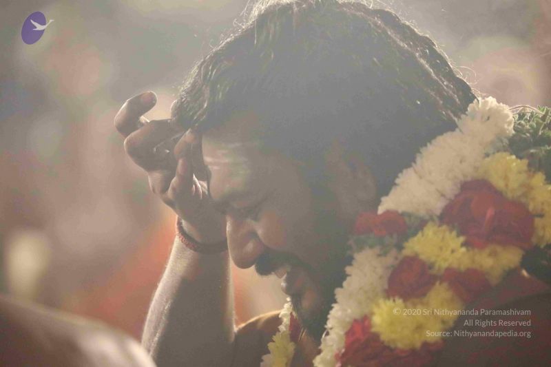 File:20180302 Photo 1330 1zN QuryJzkFHo6cjV 9SpY5pYzE35fOw.JPG