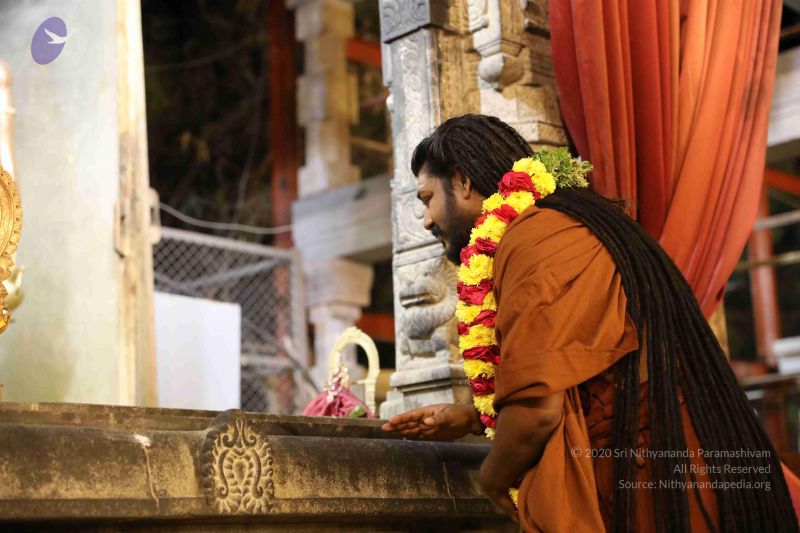 File:20180302 Photo 1339 1oivx3V9k55npjrqONWWm9BgzW1m frK9.JPG