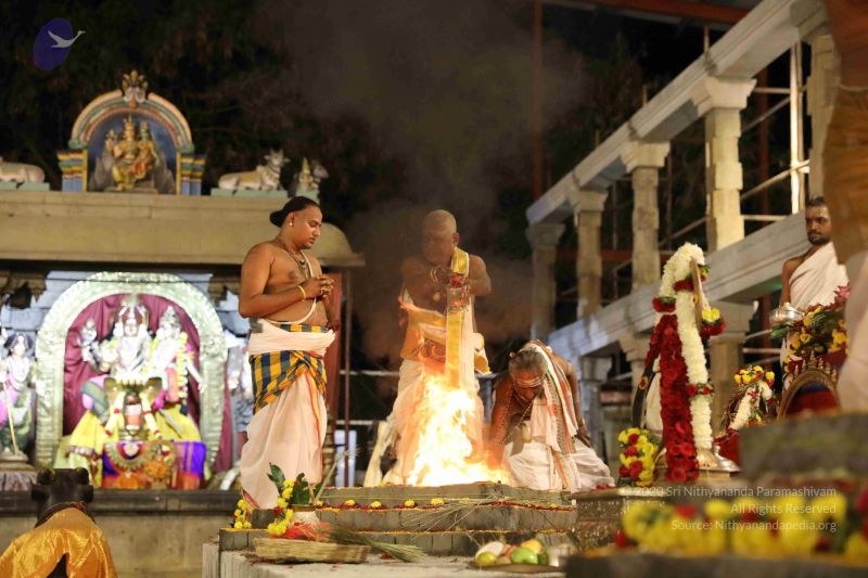 File:20180302 Photo 1365 1JMoz1JvZHNLDMTbSqrf2mRjaVCDVL6sh.JPG