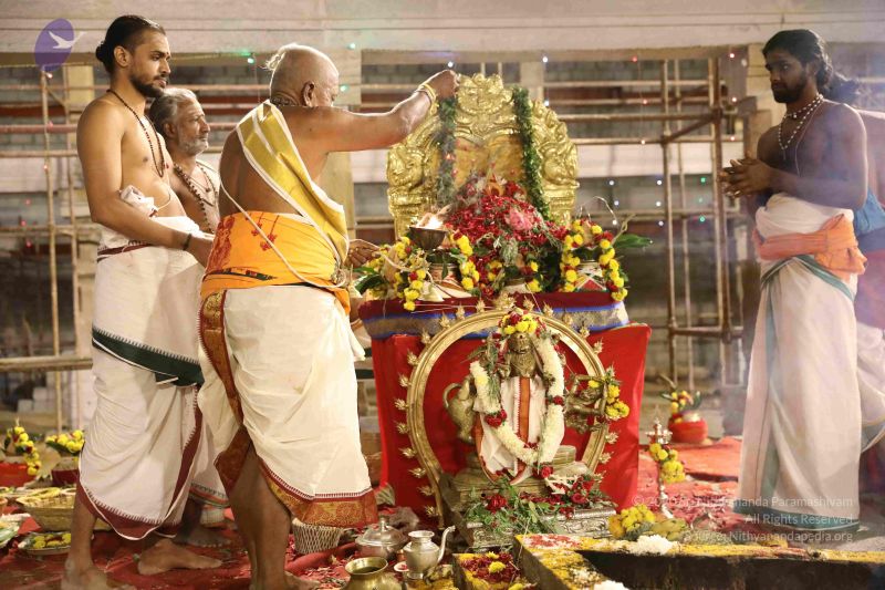 File:20180302 Photo 1398 1fP3vRvT-1HwTm6qVnQUSgZVABfG5lsu8.JPG