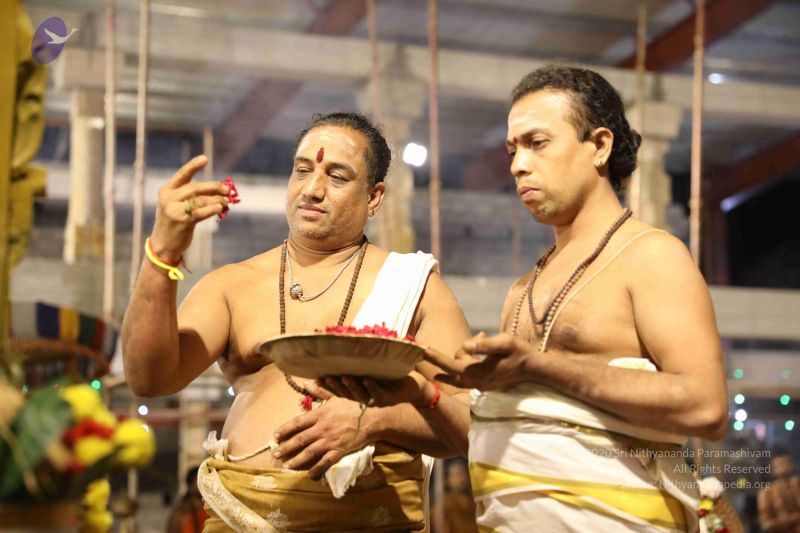 File:20180302 Photo 1406 1Mbb7p JeXspMRp-V9ksPFdpwiSD80Nqz.JPG