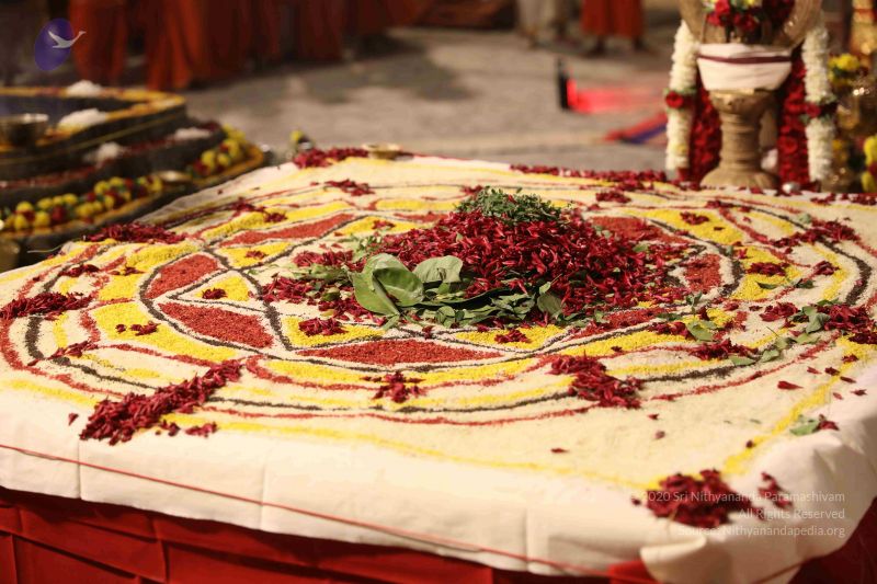 File:20180302 Photo 1436 1DOxO0XHJUqlkRvtDsSKECBO1Wlm8MizJ.JPG