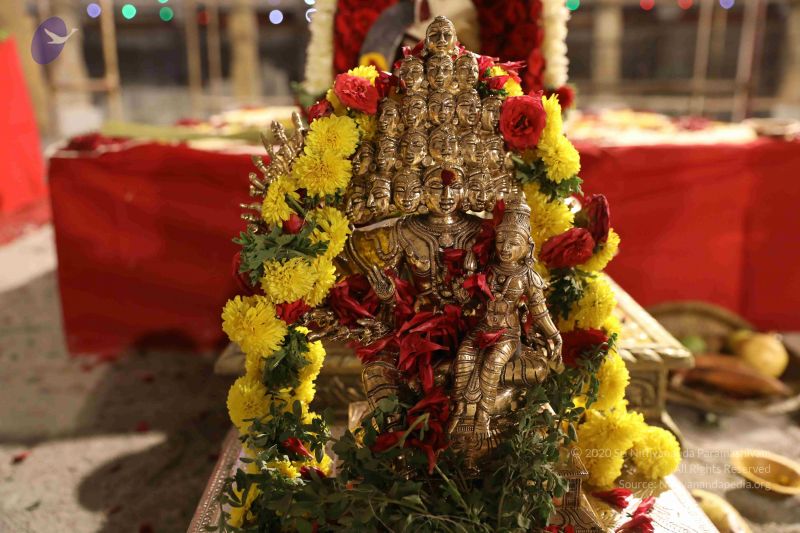 File:20180302 Photo 1514 1bjLVNkoLIrVY4T7nADemuiWT9YiiXYeR.JPG