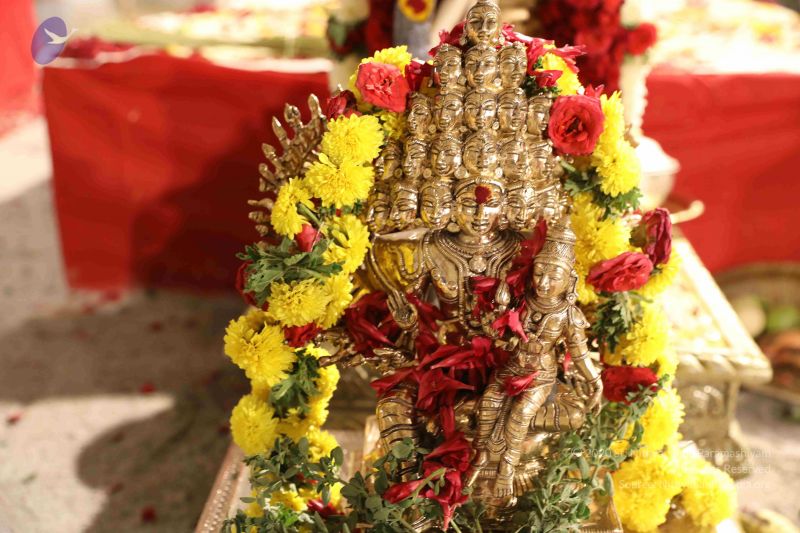 File:20180302 Photo 1516 18O7Vc7AToXM8XsD9eOrsSH5S5SSNEDSJ.JPG