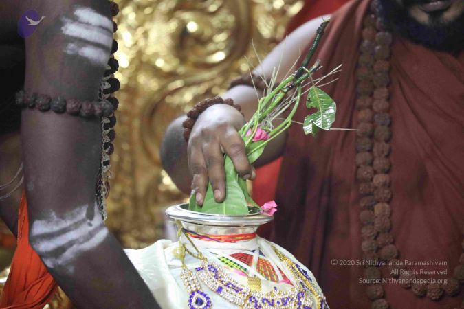 20180312 Photo 1039 1DN0KAfm4Jbd9rNbMK2pjbKE9z4M3F3gv.JPG