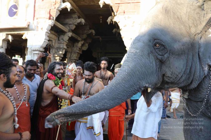 20180317 Photo 1128 1PhdozjMPQqjRzCKdWn0dTCjSYvShfsQP.JPG