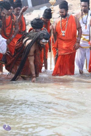 20180317 Photo 1226 1wJWTTQPH1rE3YLujyrTkGYMaYnsctmhU.JPG