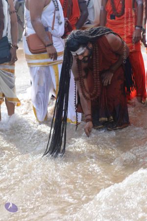 20180317 Photo 1230 1XWESoxNEJhBiBsw7-mt9IRXf-BsX Huu.JPG