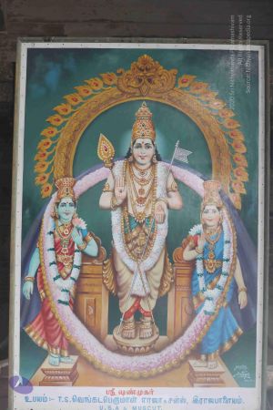 20180317 Photo 1247 164WepgjxxAYd8DB8iENR0eiEcrDT2Xb9.JPG