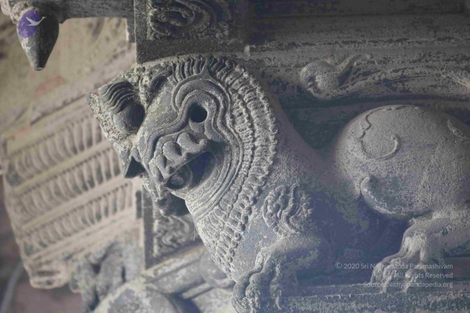 20180317 Photo 1248 1eupXdWybg0-1b-WaRVztmUewFbFz Vru.JPG