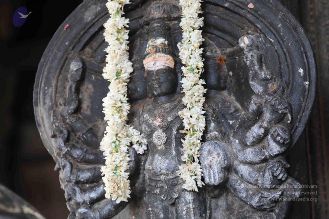 20180317 Photo 1264 1aO6i512Mds1x9v0MCxx44M0NarPB Nuw.JPG