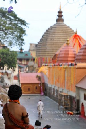 20180328 Photo 334 1c4IQFd3Nf7oXkIPjxlmor1UgfGKNrITv.jpg