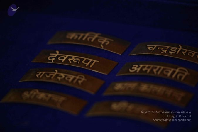 20180401 Photo 1002 1wPvvV-rdYueeSrhk0oKdTdwZvFsBLKMz.JPG