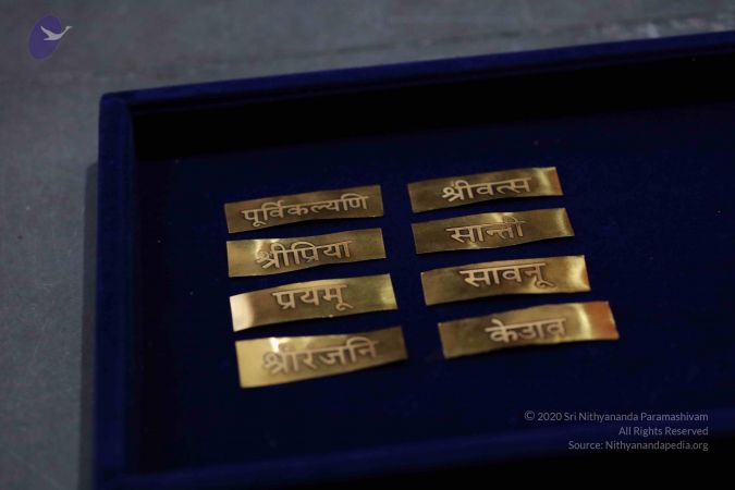 20180401 Photo 1007 1rzdTcLB3GMjU7c6oLjbmkT54RwrNeIJK.JPG