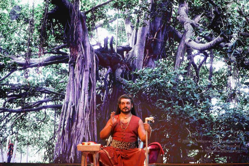 File:20180402 Photo 1050 1w7dGcQVXCbzEacbRW0 FnNOKsHahn3LA.JPG