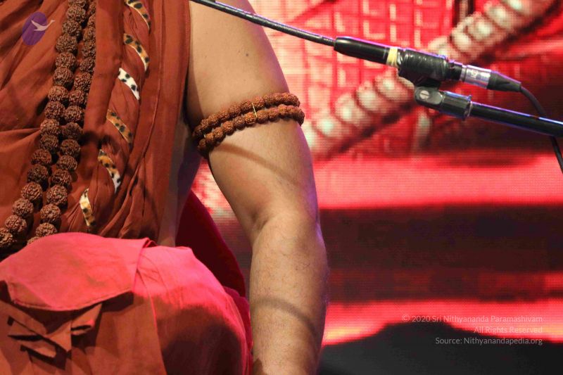 File:20180403 Photo 1108 10Yth7Yw6DAxFuf6pgLZL gOM9r3rf5Vj.JPG